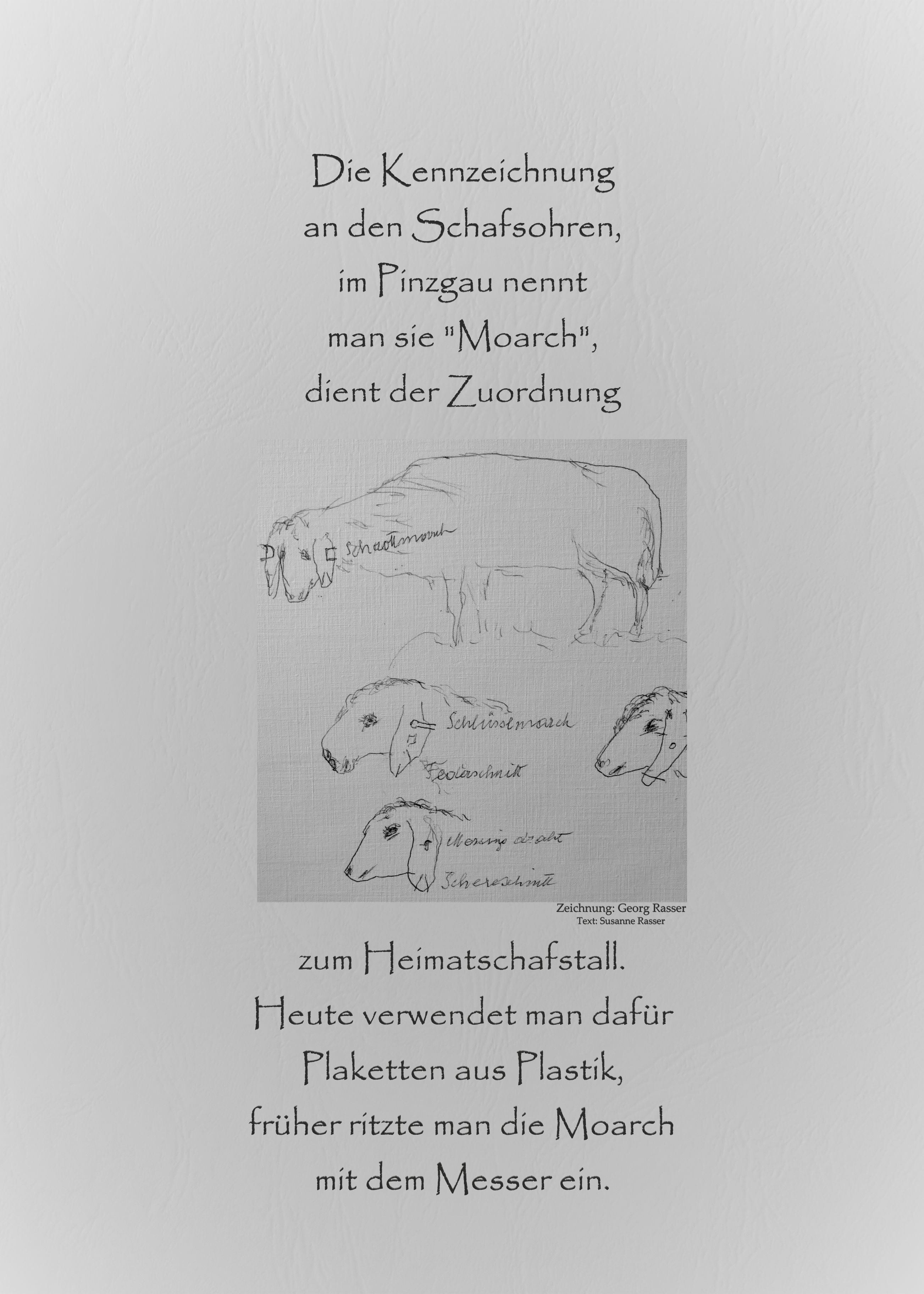 Schaf Ausstellung